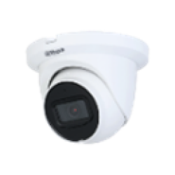 5 MP H.265+ Starlight True DAY/NIGHT IP водоустойчива куполна камера IPC-HDW2541TM-S -0360B-S2